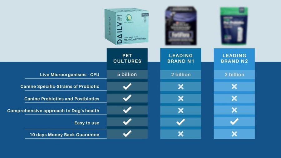 Choosing the Best Probiotic for Dogs: The Ultimate Selection Guide. - PetCultures