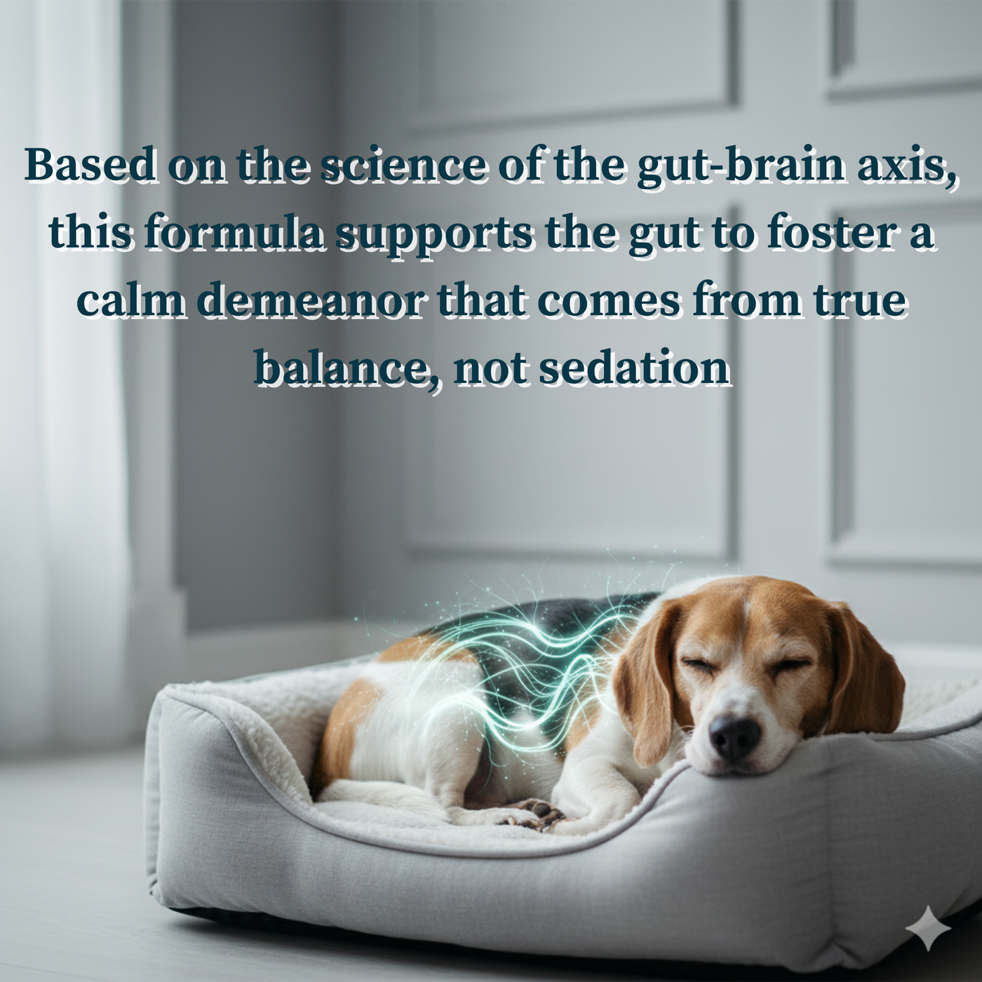 Fórmula calmante avanzada: con prebióticos, probióticos y posbióticos