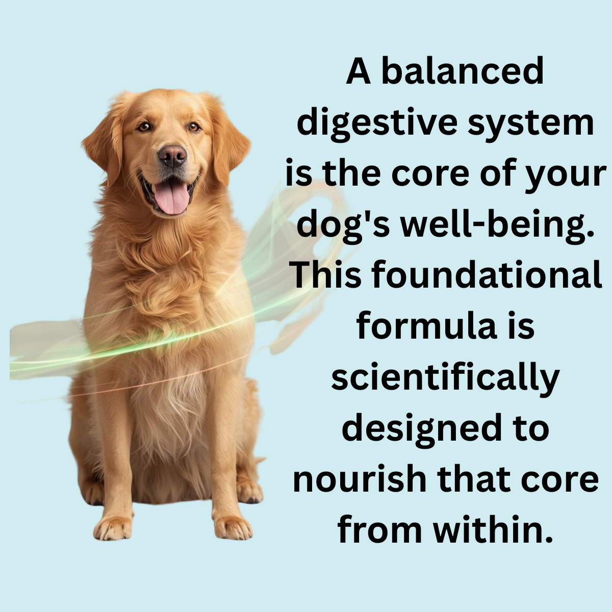 Probiótico diario para perros PetCultures: suplemento para la salud intestinal Tribiotic