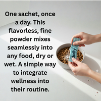 Probiótico diario para perros PetCultures: suplemento para la salud intestinal Tribiotic