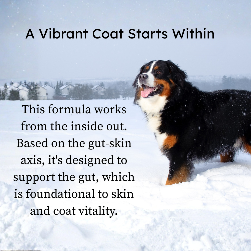 Fórmula tribiótica para piel y pelaje de perros de PetCultures