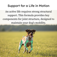 Fórmula tribiótica para caderas y articulaciones de perros de PetCultures