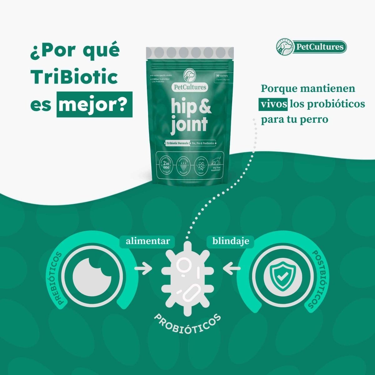 Cadera y Articulaciones| Absorcion superior de Glucosamina, MSM y Condroitina | Suplemento canino - PetCultures Canine Dog Probiotics Prebiotics Postbiotics Supplement For Gut Health Box Front