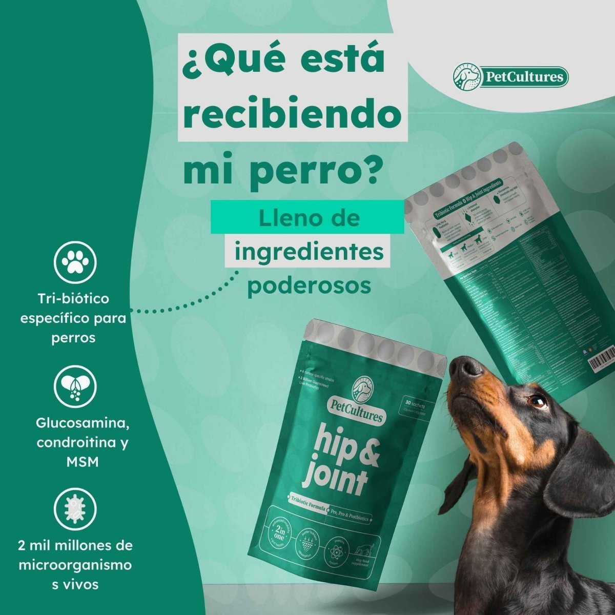 Cadera y Articulaciones| Absorcion superior de Glucosamina, MSM y Condroitina | Suplemento canino - PetCultures Canine Dog Probiotics Prebiotics Postbiotics Supplement For Gut Health Box Front