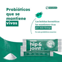 Cadera y Articulaciones| Absorcion superior de Glucosamina, MSM y Condroitina | Suplemento canino - PetCultures Canine Dog Probiotics Prebiotics Postbiotics Supplement For Gut Health Box Front
