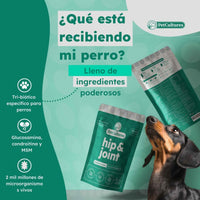 Cadera y Articulaciones| Absorción superior de Glucosamina, MSM y Condroitina | Suplemento canino - PetCultures Canine Dog Probiotics Prebiotics Postbiotics Supplement For Gut Health Box Front