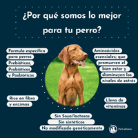 Ingredientes clave del suplemento calmante: L-Triptófano, L-Teanina y probióticos para perros.