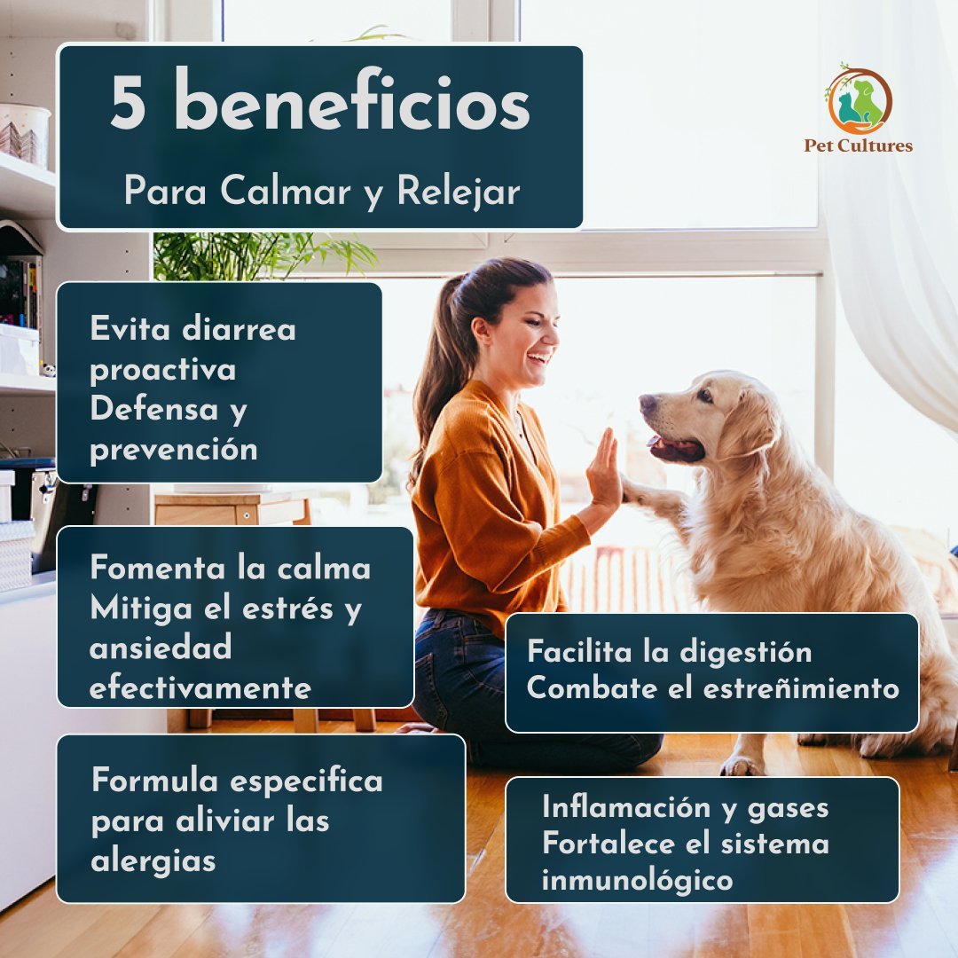 Fórmula veterinaria de PetCultures para la salud digestiva y el alivio del estrés canino.