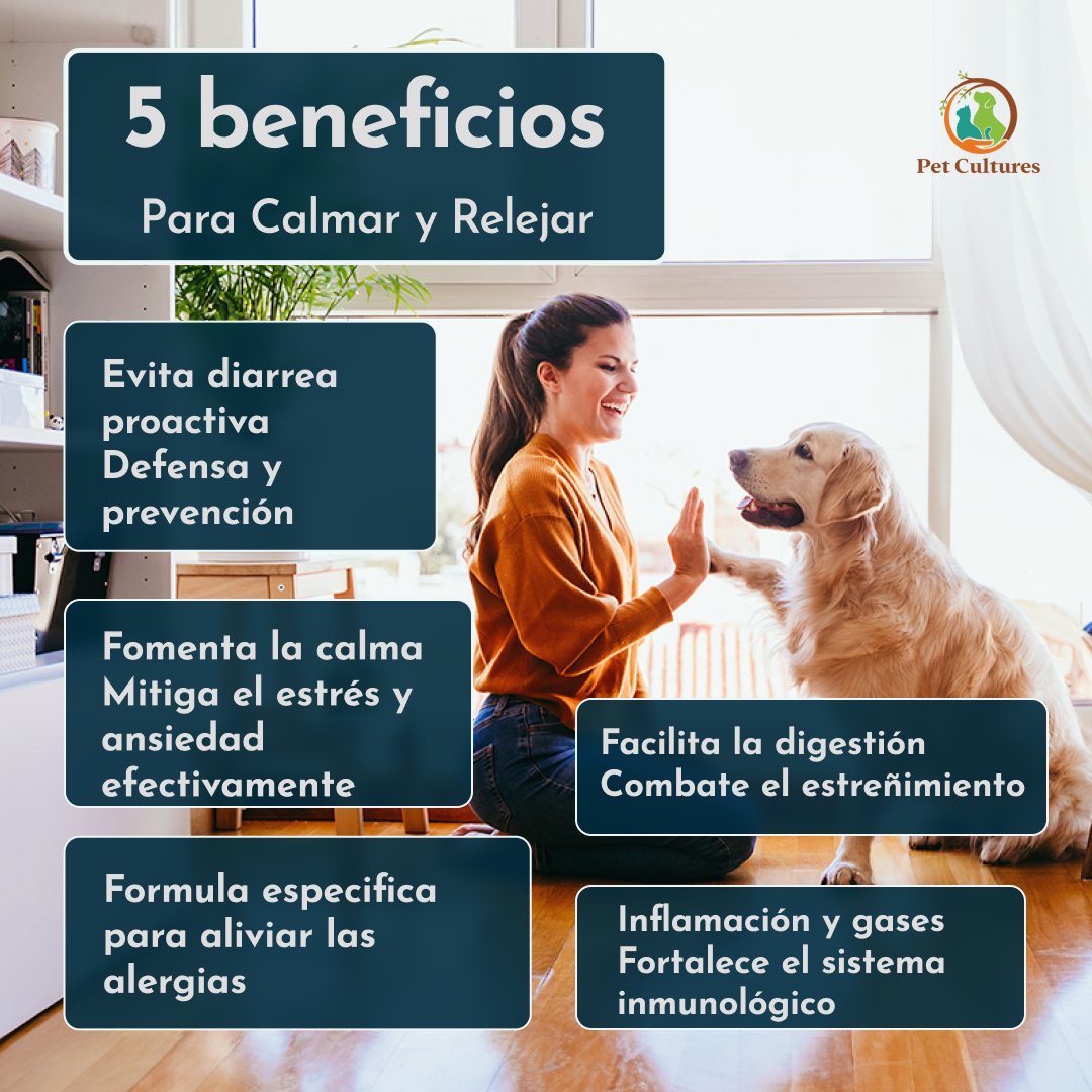 Calming | Tribiótico Calmante para perros. Suplemento canino profesional - PetCultures Canine Dog Probiotics Prebiotics Postbiotics Supplement For Gut Health Box Front