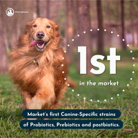 Calming | Tribiótico Calmante para perros. Suplemento canino profesional - PetCultures Canine Dog Probiotics Prebiotics Postbiotics Supplement For Gut Health Box Front