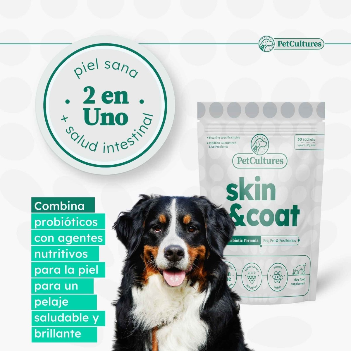 Infografía ilustrando cómo nuestra fórmula Tribiótica alivia la comezón en la piel y reduce la caída de pelo en perros.