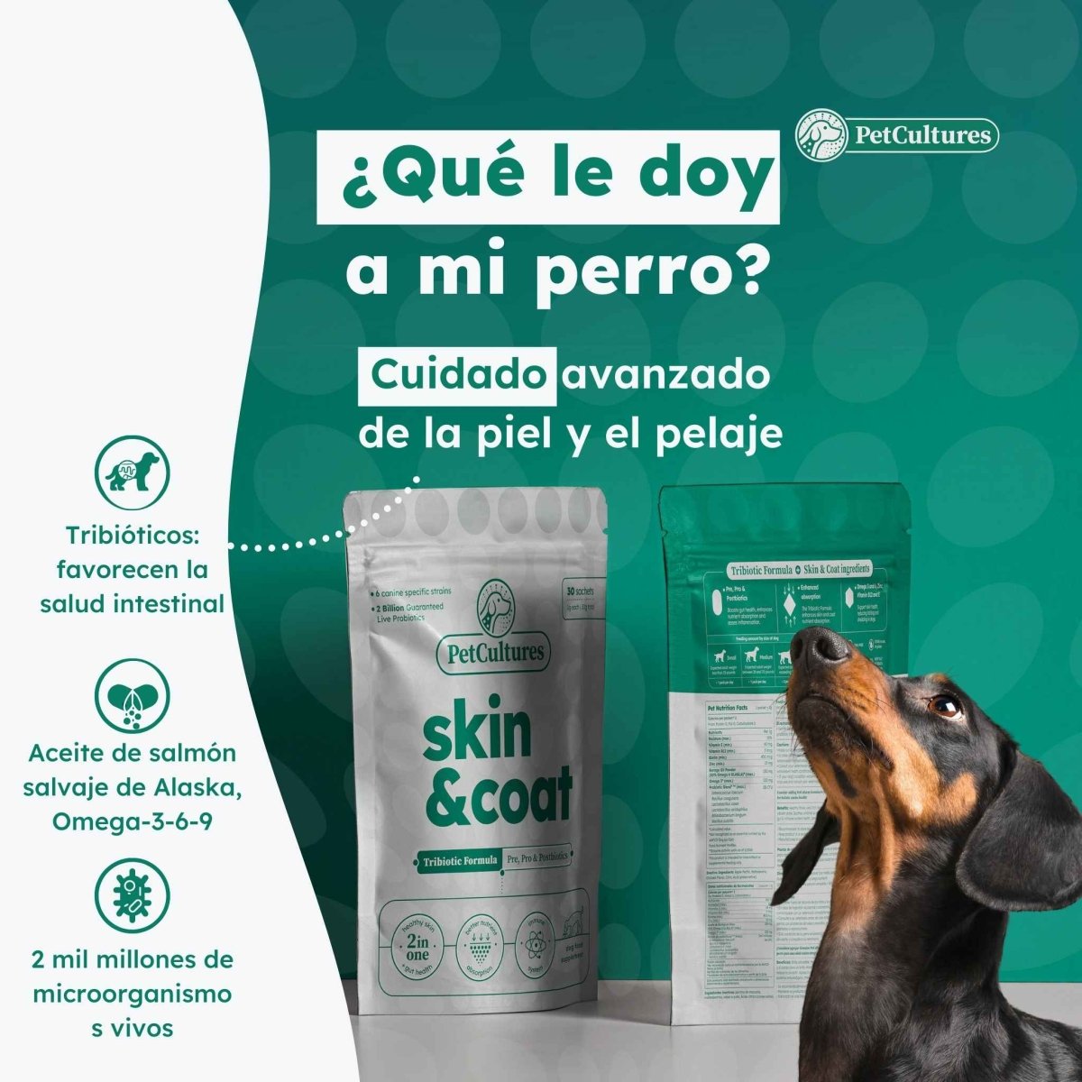 Fórmula Avanzada para Piel y Pelaje | Absorción superior de Aceite de Salmón y Omega - 3, 6, and 9 - PetCultures Canine Dog Probiotics Prebiotics Postbiotics Supplement For Gut Health Box Front