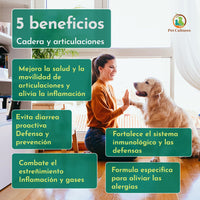 Hip & Joint | Absorción superior de Glucosamina, MSM y Condroitina. Suplemento canino - PetCultures Canine Dog Probiotics Prebiotics Postbiotics Supplement For Gut Health Box Front