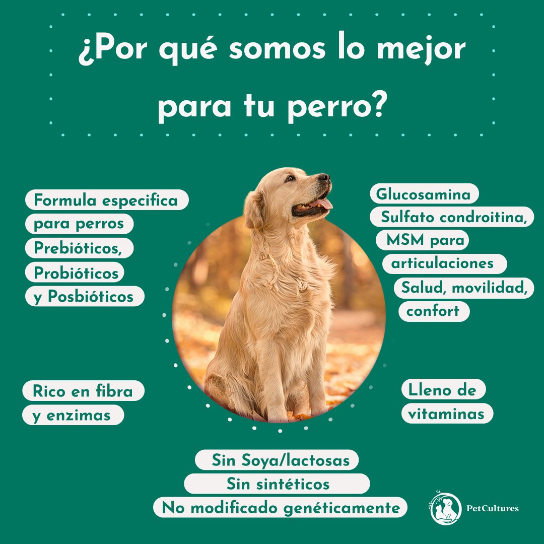 Hip & Joint | Absorción superior de Glucosamina, MSM y Condroitina. Suplemento canino - PetCultures Canine Dog Probiotics Prebiotics Postbiotics Supplement For Gut Health Box Front