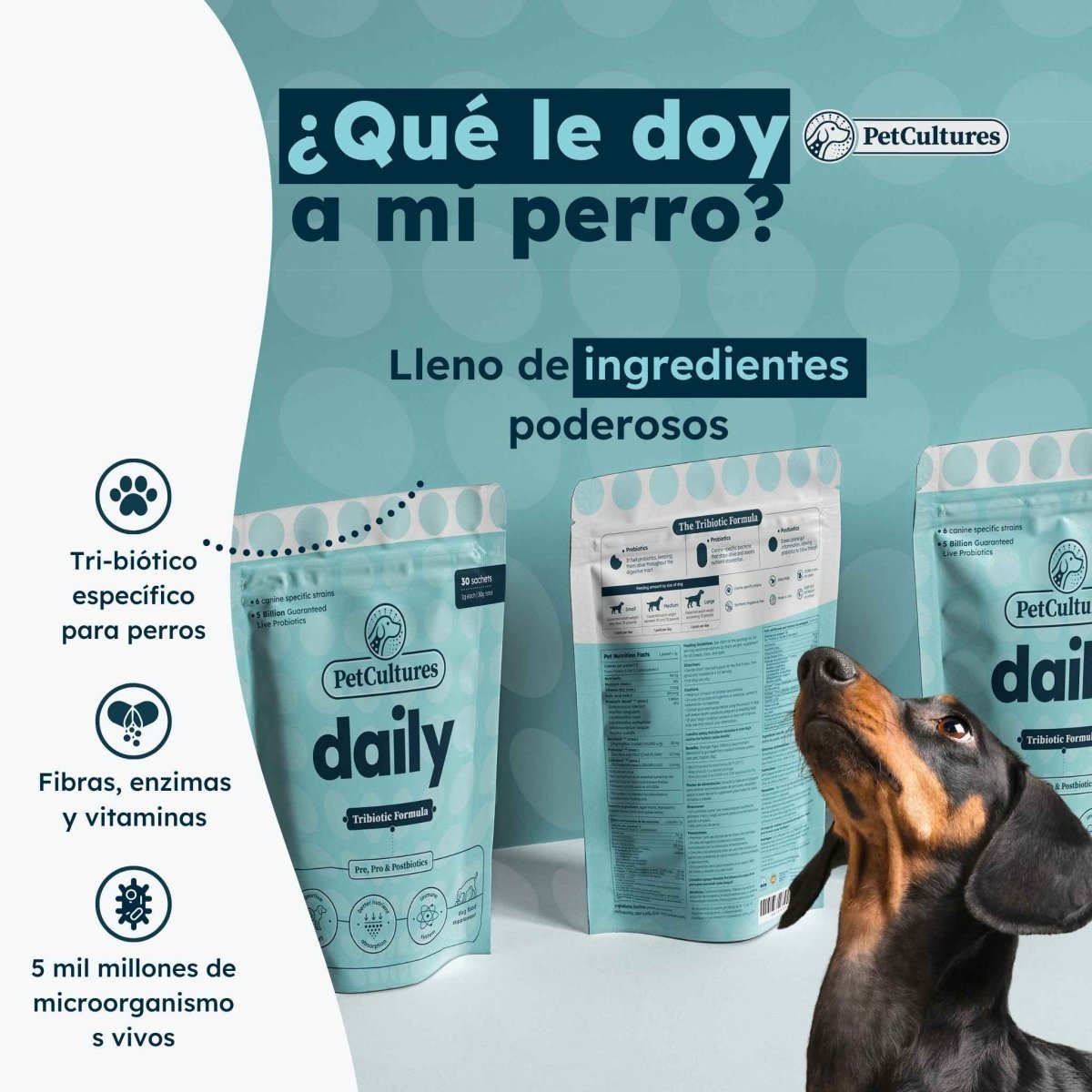 Probiotico Diario Superior - Prebiotico, Probi0tico y Postbiotico | 5 mil millones UFC - PetCultures Canine Dog Probiotics Prebiotics Postbiotics Supplement For Gut Health Box Front