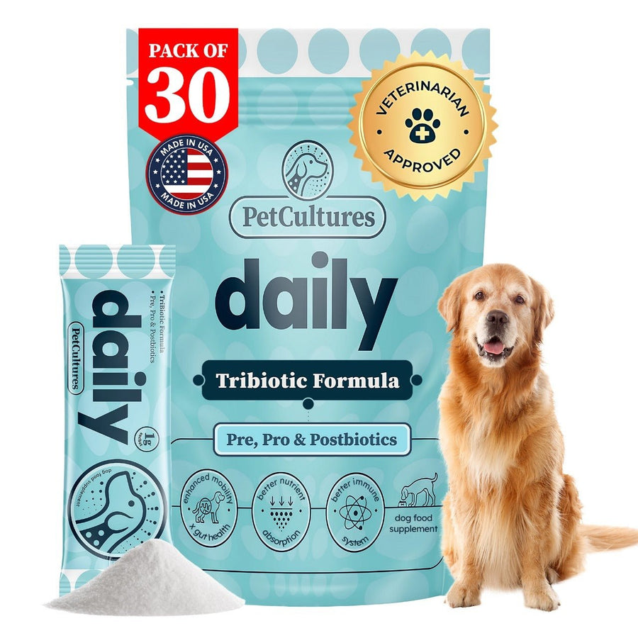 Suplemento Tribiótico Diario PetCultures para la salud digestiva de perros.